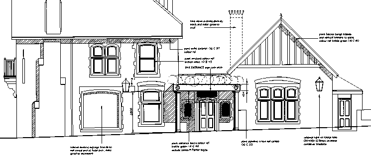 'Elm Tree' drawing