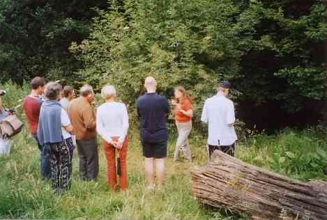 In the Manor Woods Herbarium